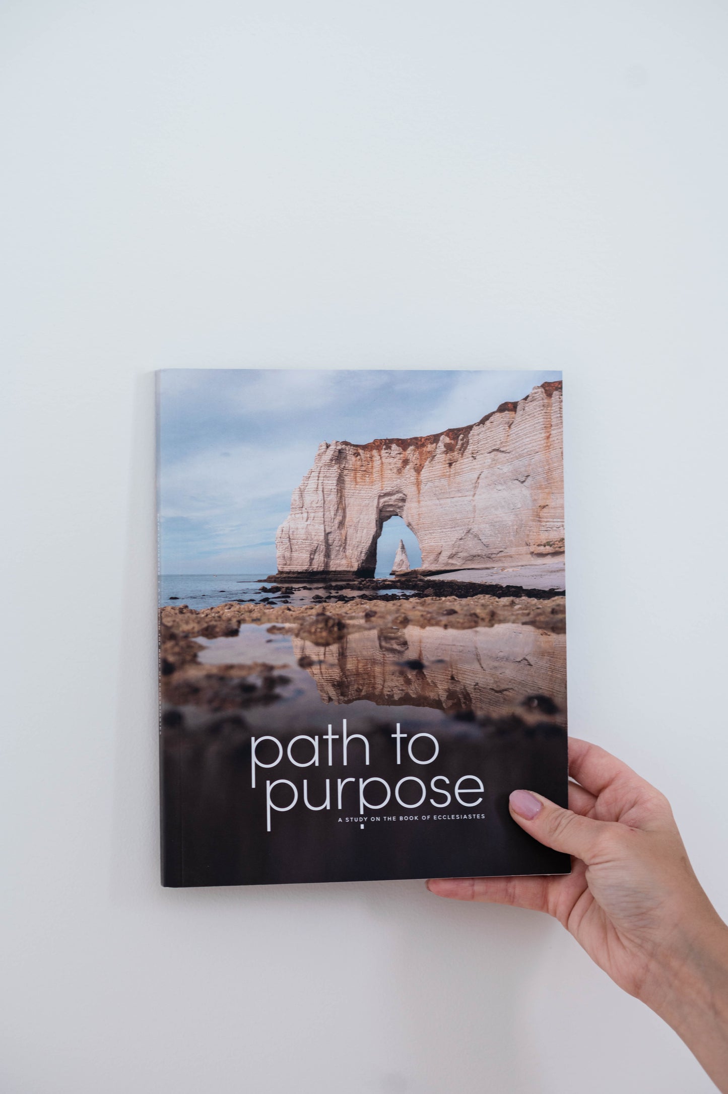 Path to Purpose Study for Men