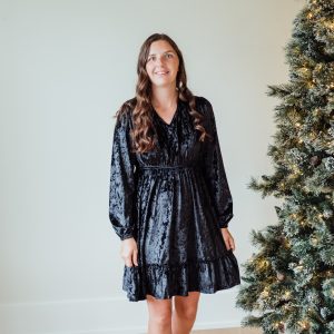Evelyn Velvet Dress